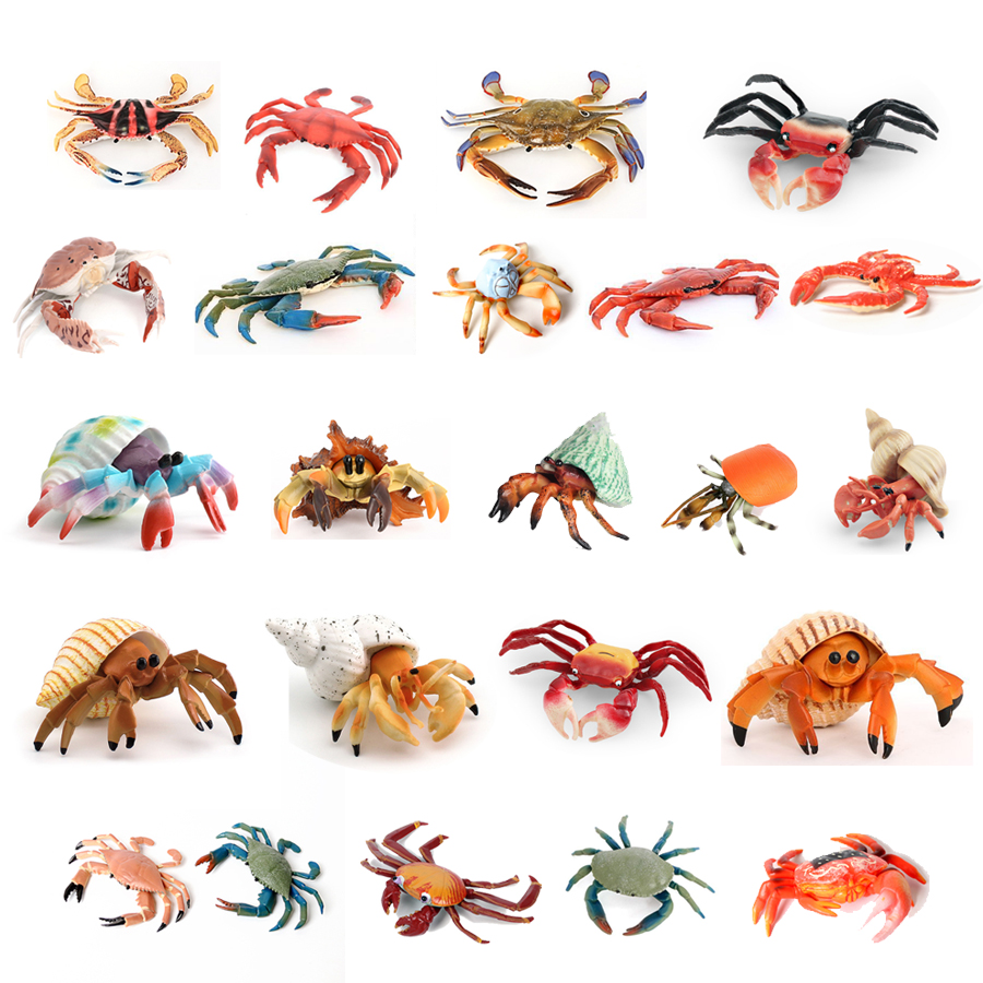 Kids Toys Under 1 Year - Realistische Ozean Tiere Einsiedlerkrebs Kokosnuss Krabbe