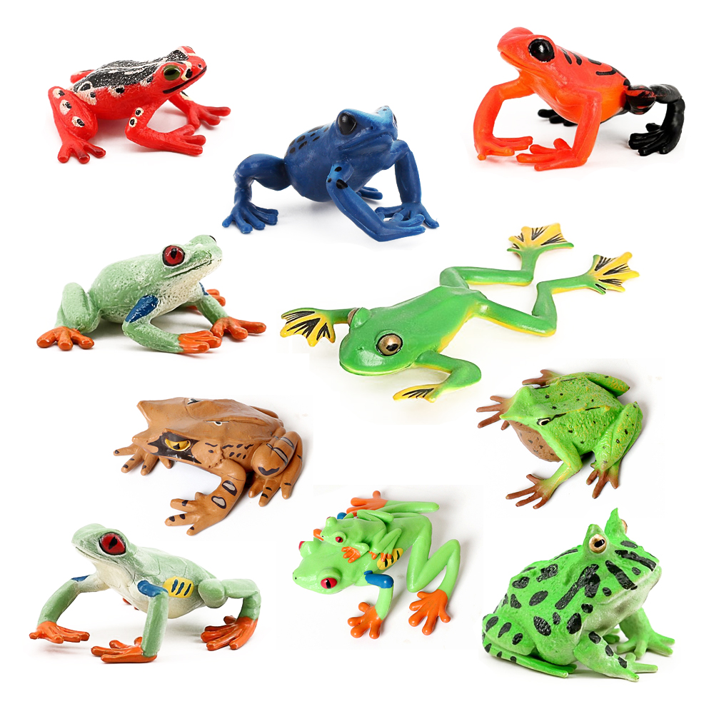 Regenwald Tiere Frösche Figure – Kids Toys Under 1 Year Bewertung und Preis