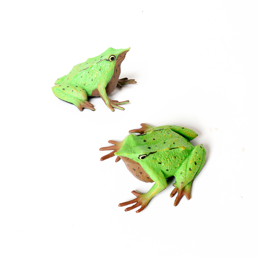 Regenwald Tiere Frösche Figure – Kids Toys Under 1 Year Bewertung und Preis