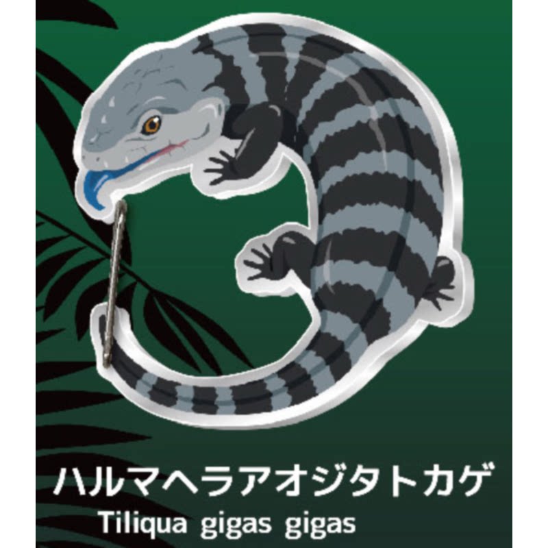 Eidechse Gecko Karabiner Kapse – Kids Toys Under 1 Year Bewertung und Preis