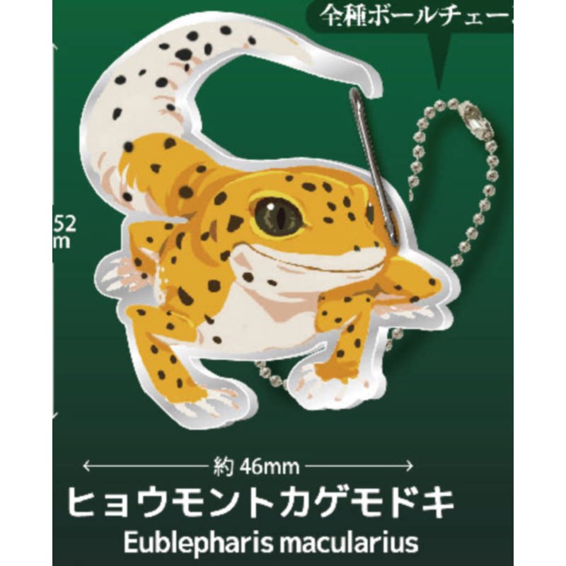 Eidechse Gecko Karabiner Kapse – Kids Toys Under 1 Year Bewertung und Preis