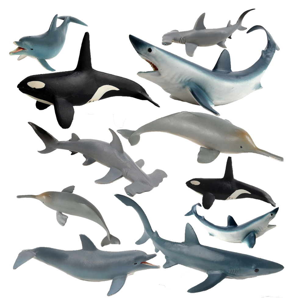 Gefährdete Meerestiere Figuren – Kids Toys Under 1 Year Bewertung und Preis