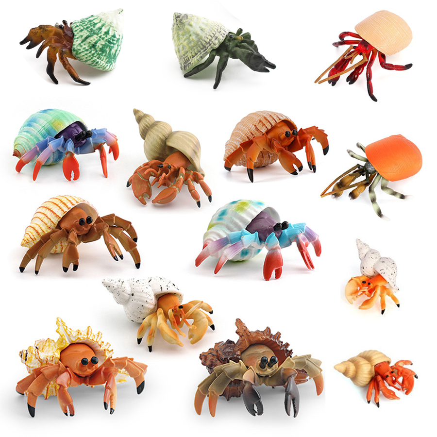 Realistische Hermitkrabben-Fig – Kids Toys Under 1 Year Bewertung und Preis