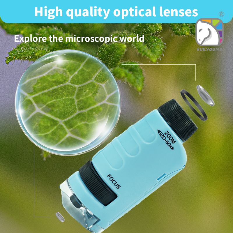 Tragbares 60x - 120x Handmikro – Microscope Kids Science Bewertung und Preis