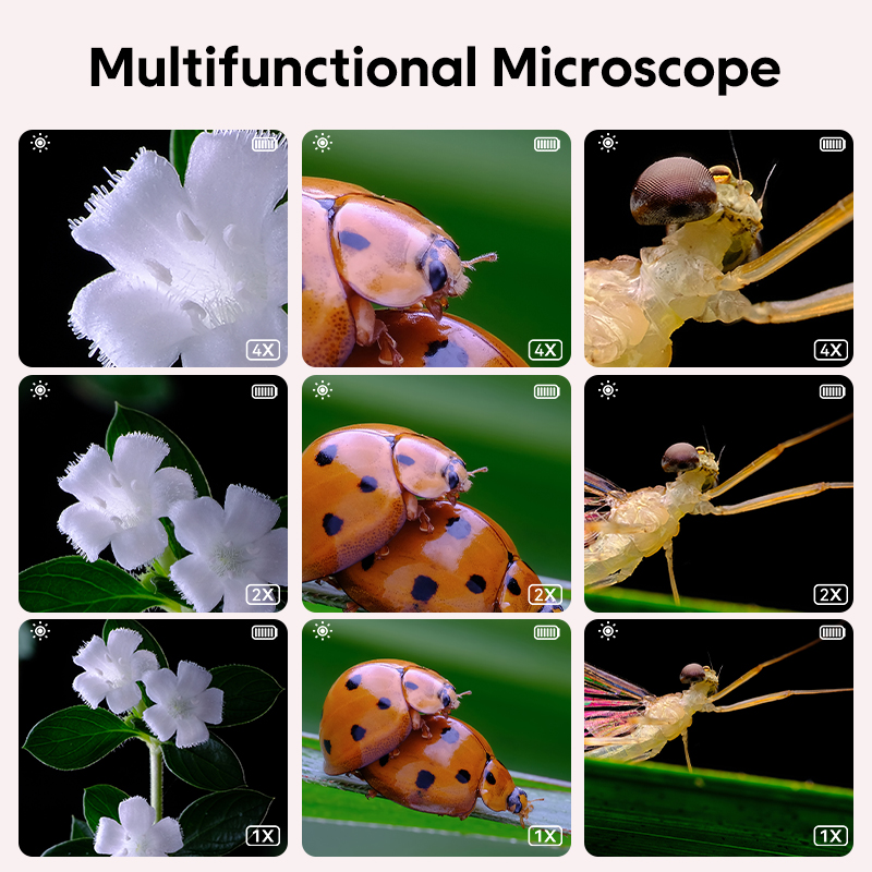 Optisches Mini-Mikroskop für K – Microscope Kids Science Bewertung und Preis