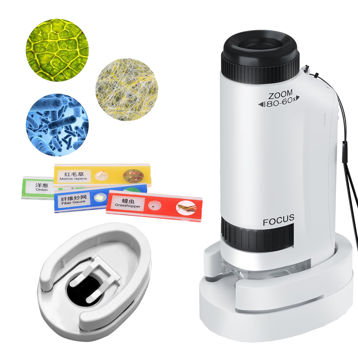 Mini-Mikroskop-Handspielzeug-S – Microscope Kids Science Bewertung und Preis