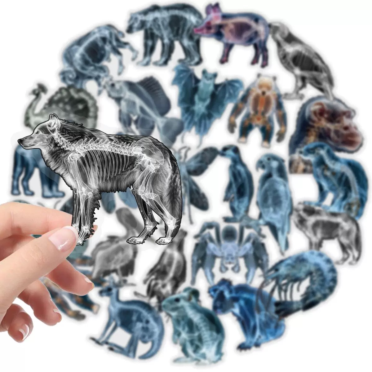 10/56 stücke Tier Skelett Aufk – Kids Xray Toys Bewertung und Preis