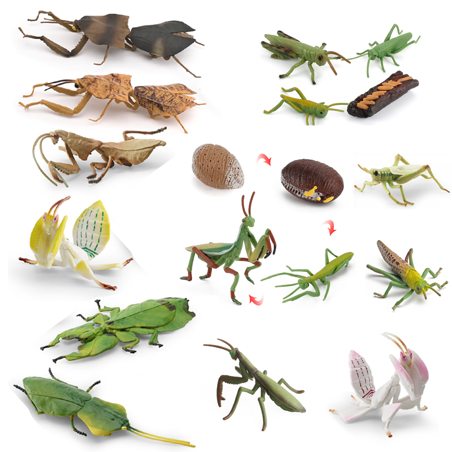 Realistische Orchideen-Mantis, – Kids Toys Under 1 Year Bewertung und Preis