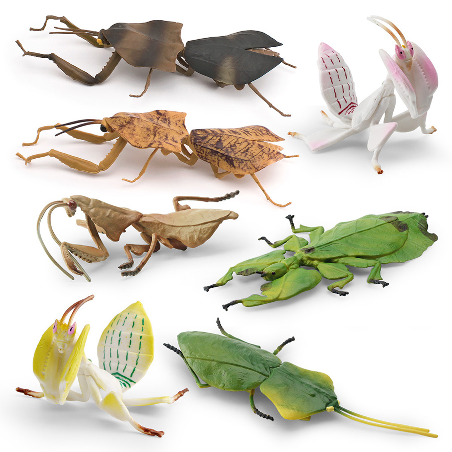 Realistische Orchideen-Mantis, – Kids Toys Under 1 Year Bewertung und Preis