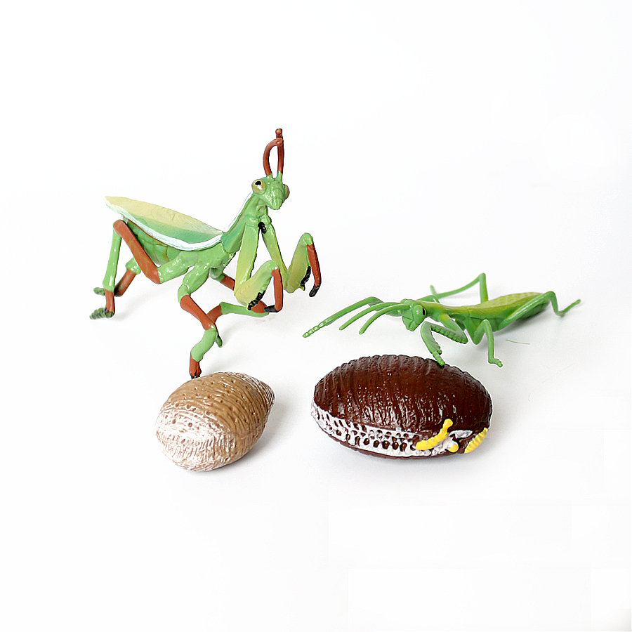 Realistische Orchideen-Mantis, – Kids Toys Under 1 Year Bewertung und Preis